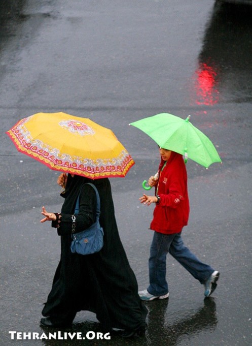 Tehran : Umbrellas