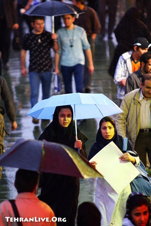 Tehran : Umbrellas