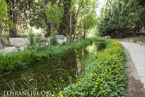 national_botanical_garden_of_iran_1